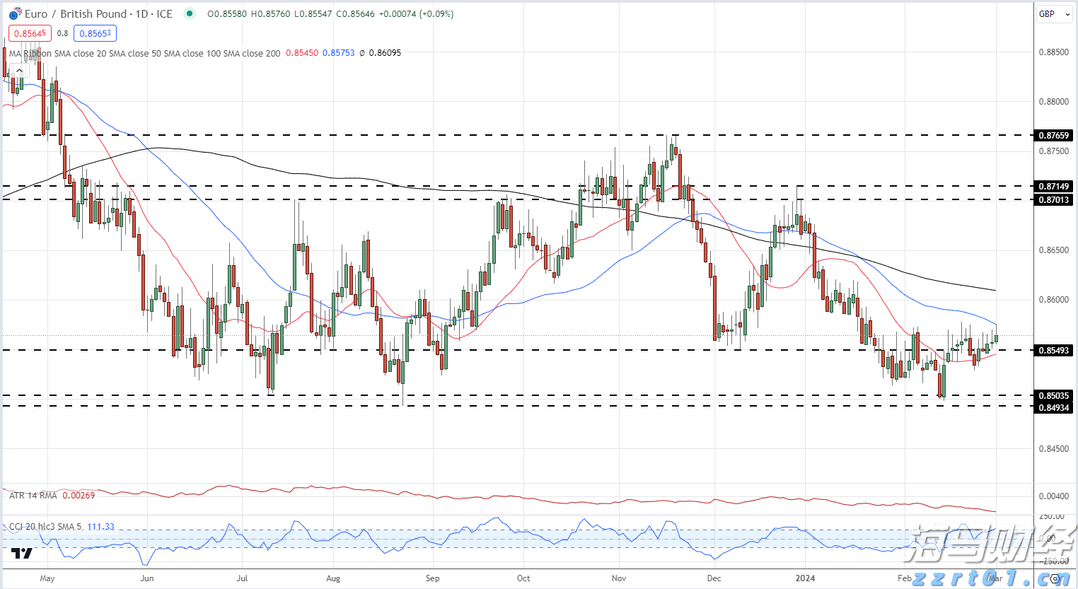 揭阳：深耕蓝色沃土，现代化海洋牧场按下“加速键”